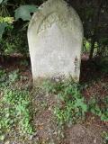 image of grave number 149537